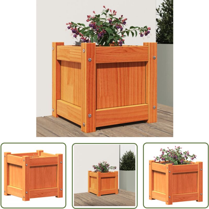 Jardinière cire marron 31x31x31 cm bois de pin massif - Jardinier - Pot De Fleurs - Extérieur - Balcon - Patio - The Living Store