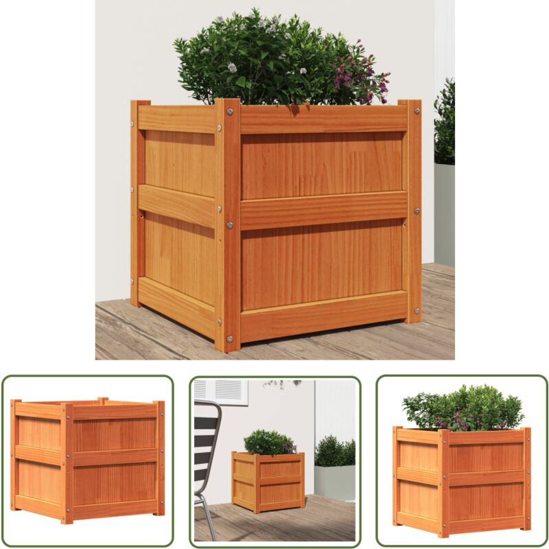 Jardinière cire marron 50x50x50 cm bois de pin massif - Jardinier - Pot De Fleurs - Extérieur - Balcon - Patio - The Living Store