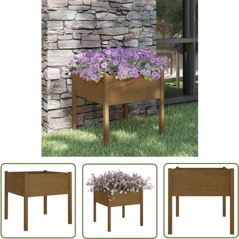 The Living Store Jardinière d'extérieur Marron miel 70x70x70 cm Pin massif - Jardiniered Exterieure - Jardinerie - Pots De Fleurs - Bacs Fleuris