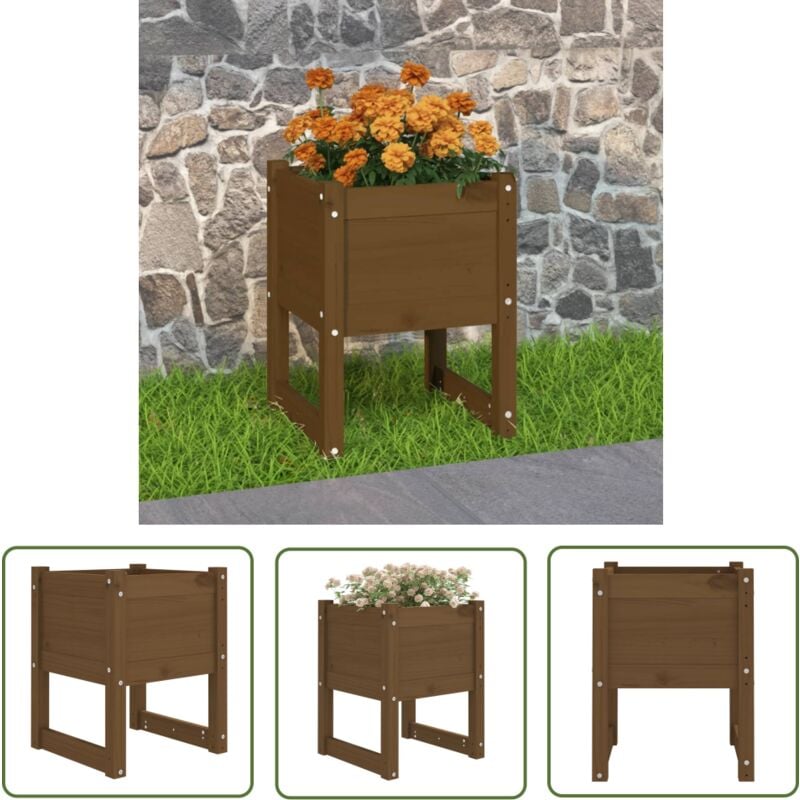 Jardinière Marron miel 40x40x52,5 cm Bois massif de pin - Jardinier - Pot De Fleurs - Balcon - Terrasse - Bois Massif - The Living Store