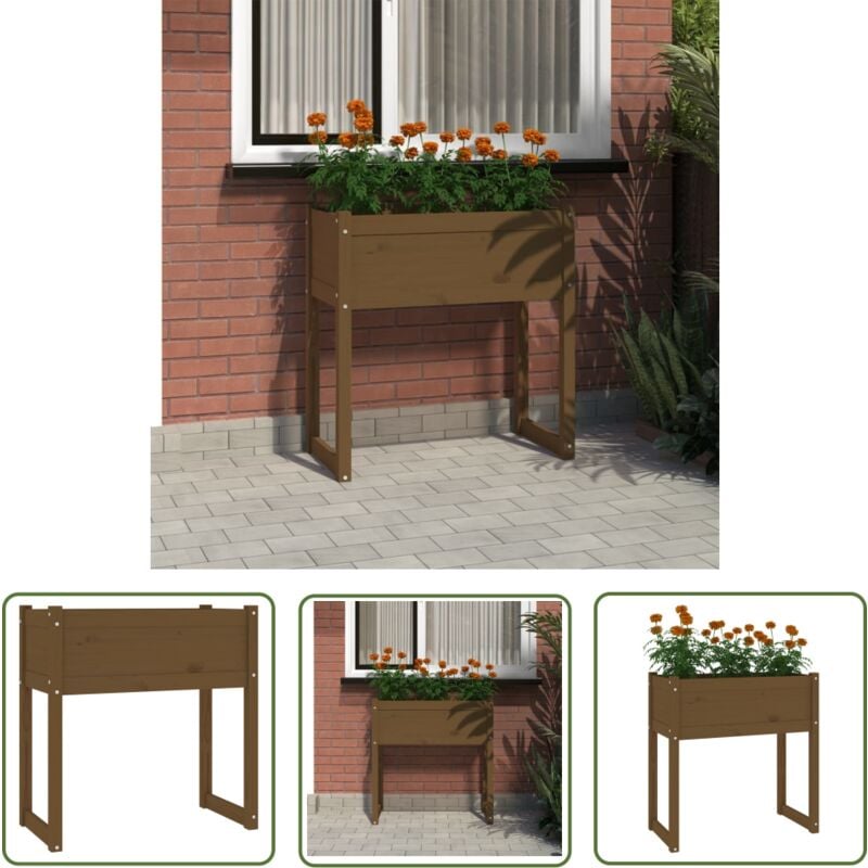 Jardinière Marron miel 78x40x81 cm Bois massif de pin - Jardinier - Pot De Fleurs - Bac à Fleurs - Bois Massif - Pin - The Living Store
