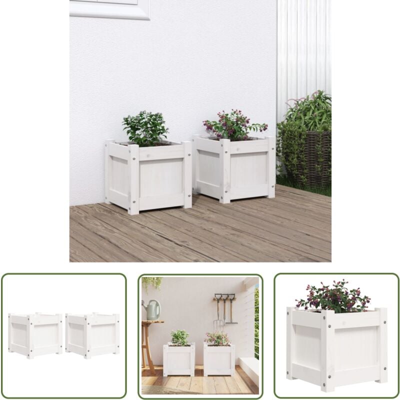 Jardinières 2 pcs blanc bois de pin massif - Jardiniere En Bois - Jardinerie - Pots De Fleurs Exterieur - Decoration Jardin - Balcon - The Living