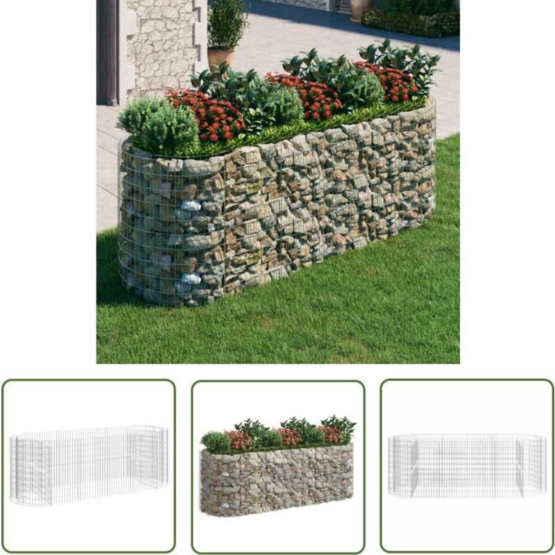 The Living Store Lit surélevé à gabion Fer galvanisé 300x100x100 cm - Jardiniere En Gabion - Lit Surélevé - Bac Acier - Décoration Extérieur - Fleur
