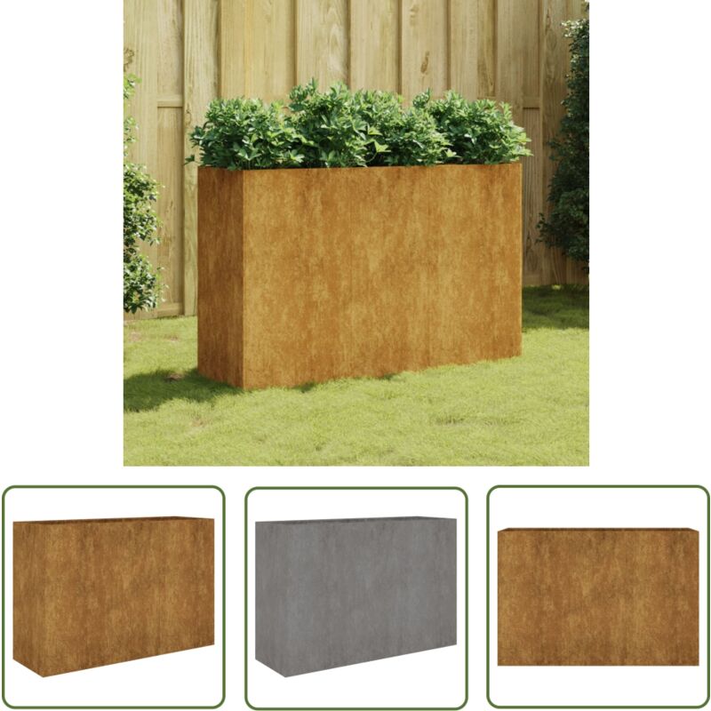 The Living Store Lit surélevé de jardin 120x40x80 cm acier corten - Jardiniere - Lit Surélevé - Acier Corten - Décoration Extérieur - Plante