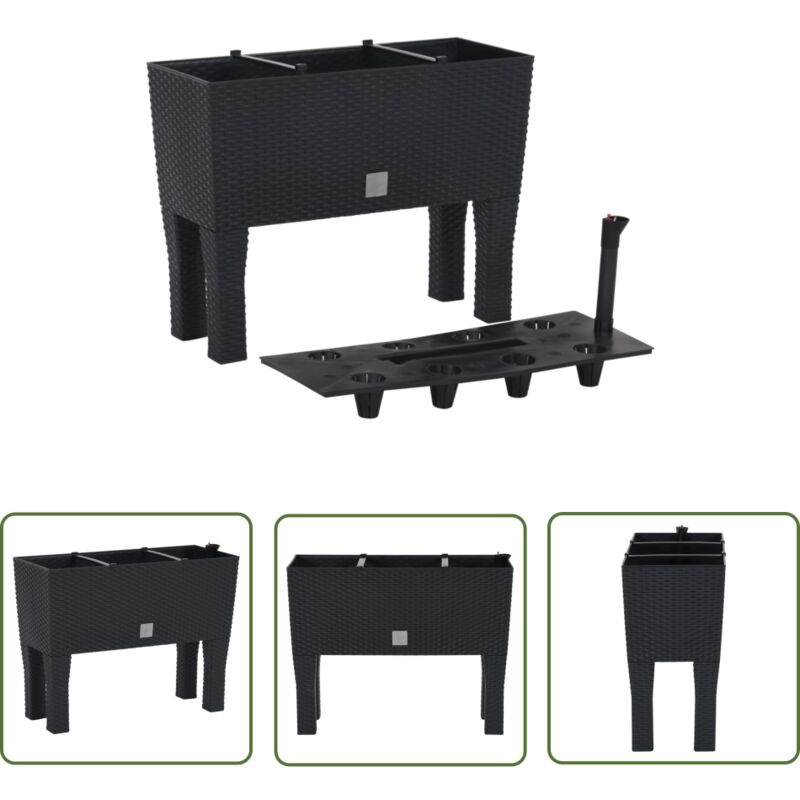 The Living Store Lit surélevé de jardin Anthracite 60x25x46 cm PP Rotin - Jardinière Surélevée - Pot De Fleurs Extérieur - Bac À Fleurs - Décoration