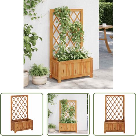 The Living Store Lit surélevé de jardin avec treillis Bois massif d'acacia - Jardiniere En Bois - Bac Plante - Pot De Fleurs Exterieur - Lit Surélevé Jardin - Treillage