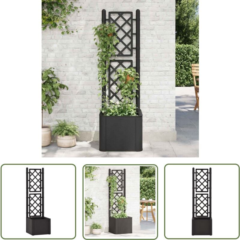 Lit surélevé de jardin treillis système d'arrosage Anthracite - Jardiniere - Pot De Fleurs - Bac à Plantation - Arrosoir Automatique - Plante