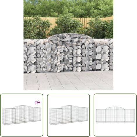 The Living Store Paniers à gabions arqués 30 pcs 300x50x100/120 cm fer galvanisé - Panier À Gabion - Gabion - Mur De Gabion - Clôture Végétale - Décoration Jardin