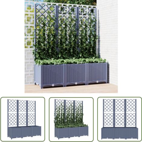 The Living Store Pflanzkübel mit Spalier Dunkelgrau 120x40x136 cm PP - Blumenkübel - Kübel Mit Rankgitter - Übertopf - Gartentöpfen - Polypropylen Topf