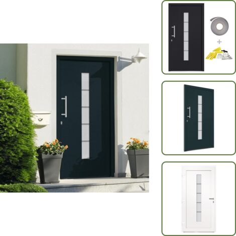 The Living Store Porta d'Ingresso in Alluminio e PVC Antracite 100x210 cm - Porta d'ingresso in PVC