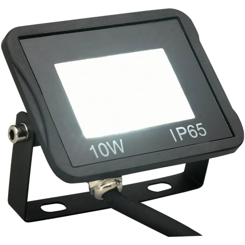 Projecteur à led 10 w Blanc froid The Living Store Noir