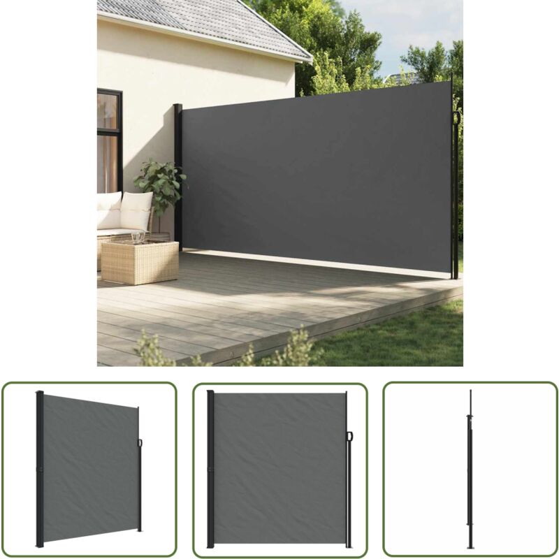 The Living Store - Seitenmarkise Ausziehbar Anthrazit 220x300 Cm - Seitenmarkise - Gartensonne - Sonnensschutz - Balkonmarkise - Terrassenmarkise