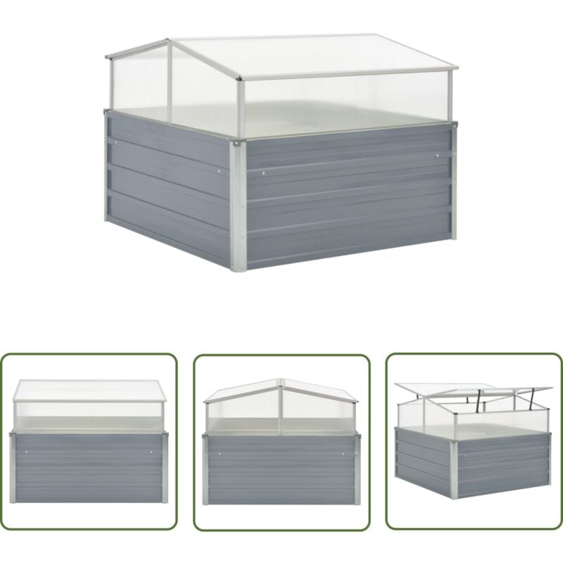 The Living Store Serre 100 x 100 x 85 cm Grise Acier galvanisé - Serre Jardin - Abri Plante - Protection Végétale - Culture Hors Saison - Greenhouse