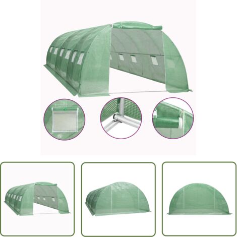 The Living Store Serre 24 m² 6x4x2 m - Serre De Jardin - Abri Jardin - Tunnel De Jardin - Protection Plante - Serrez Verdure