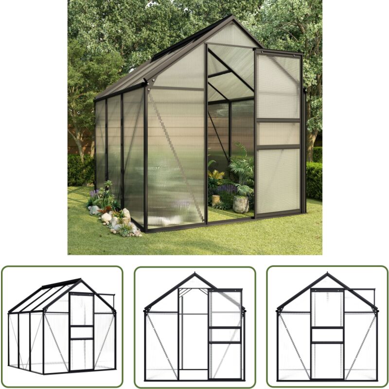The Living Store Serre Anthracite Aluminium 3,61 m² - Serre Jardin - Abri Jardin - Greenhouse - Serrez - Structure Jardin