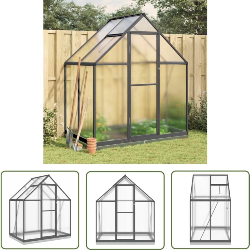 The Living Store - Serre avec cadre de base anthracite 169x114x202 cm aluminium - Serre De Jardin - Abri Jardin - Protection Plante - Greenhouse