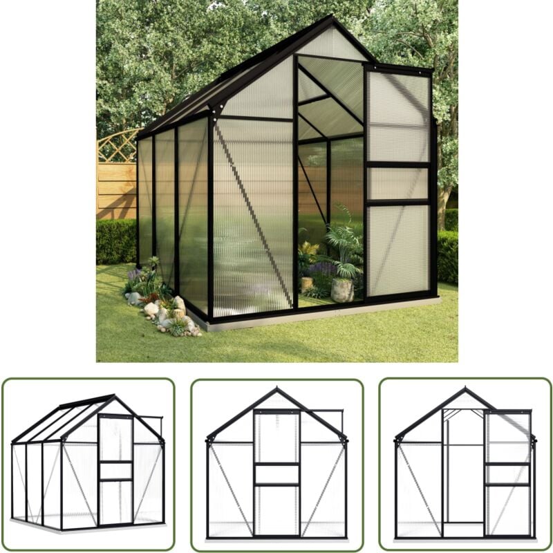 Serre avec cadre de base Anthracite Aluminium 3,61 m² - Serre De Jardin - Abri De Jardin - Greenhouse - Serrez - Protection Plante - The Living Store