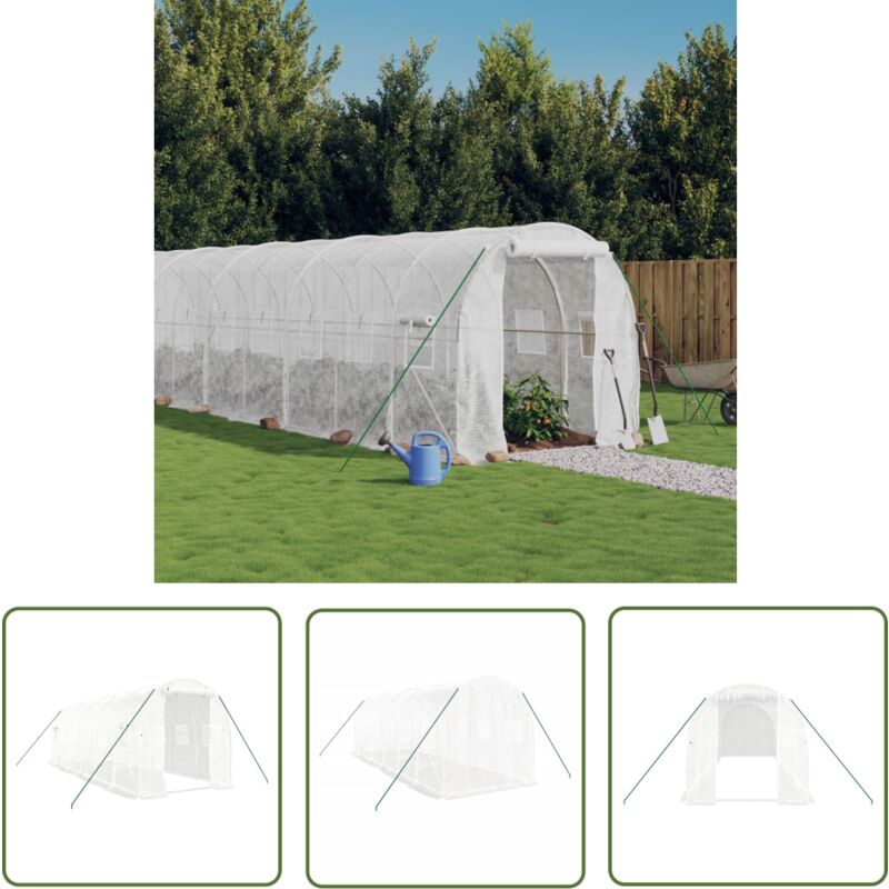 The Living Store Serre avec cadre en acier blanc 12 m² 6x2x2 m - Serre De Jardin - Abri Jardin - Tunnel De Jardin - Polycarbonate - Aluminium