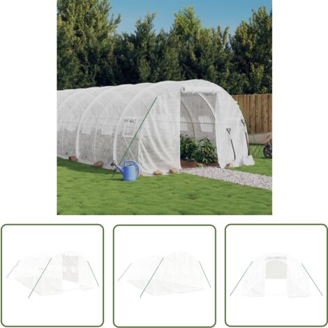 The Living Store Serre avec cadre en acier blanc 18 m² 6x3x2 m - Serre De Jardin - Abri Jardin - Tunnel De Jardin - Polycarbonate - Aluminium