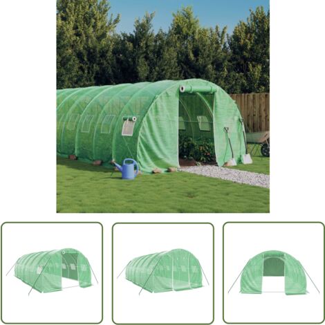 The Living Store Serre avec cadre en acier vert 18 m² 6x3x2 m - Serre De Jardin - Abri Jardin - Tunnel De Jardin - Polycarbonate - Aluminium