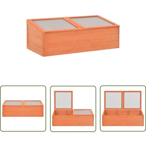The Living Store Serre Bois 100x50x34 cm - Serre De Jardin - Serre Bois - Serre Froide - Abri Jardin - Tunnel Jardin