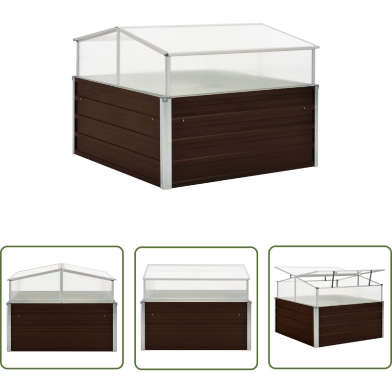 Serre Marron 100 x 100 x 85 cm Acier galvanisé - Serre De Jardin - Abri Plante - Protection Plante - Greenhouse - Serrez Jardin - The Living Store