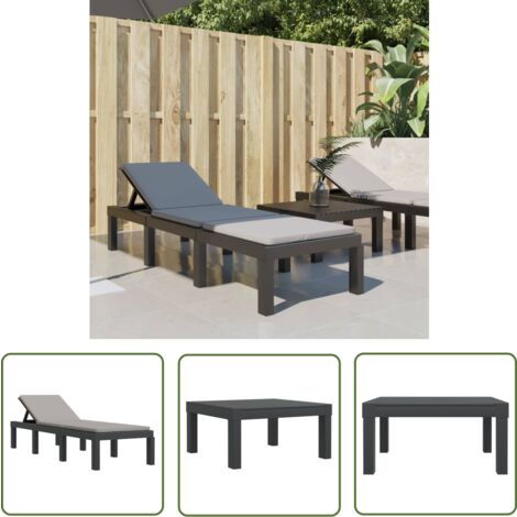 The Living Store Sonnenliege mit Kissen Anthrazit PP - Sonnenliege - Gartenmöbel - Outdoor Möbel - Lounge Chair - Relaxsessel