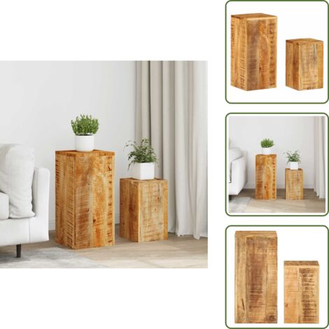 The Living Store Soportes para plantas 2 unidades madera maciza de mango - Soportes de madera