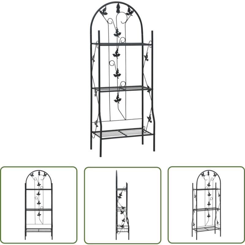 The Living Store - Support à plantes 3 niveaux Noir 52x28x128 cm Fer - Support Plante - Jardinerie - Rangement Extérieur - Décoration Jardin