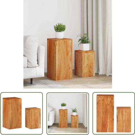 The Living Store Supports pour plantes 2 pcs bois d'acacia massif - Support Plante - Meuble Jardin - Table D'appoint - Rangement Intérieur - Acacia Massif