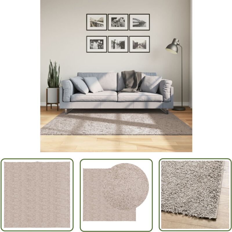 The Living Store - Tapis shaggy pamplona poils longs moderne beige 160x160 cm - Tapis Shag - Tapis Long Poil - Tapis Salon - Tapis Chambre - Tapis