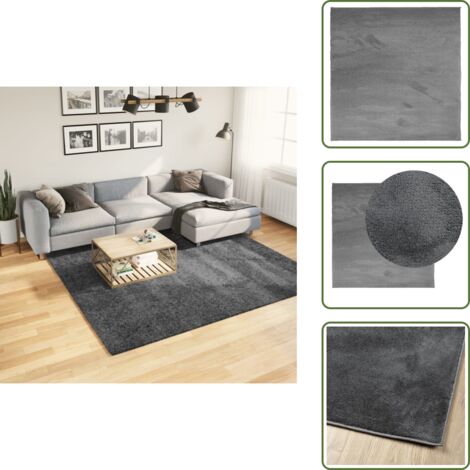 The Living Store Tappeto OVIEDO a Pelo Corto Antracite 240x240 cm - Tappeto antracite