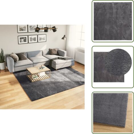 The Living Store Tappeto Pelo Corto HUARTE Morbido Lavabile Antracite 240x240 cm - Tappeto antiscivolo