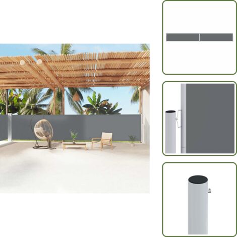 The Living Store Tenda da Sole Laterale Retrattile Antracite 160x1200 cm - Tenda da sole per giardino