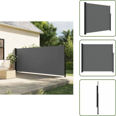 The Living Store Toldo lateral retráctil antracita 180x300 cm - Toldo retráctil