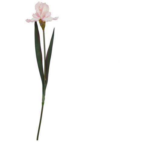 The Natural Garden Collection Fringed Iris - Artificial Flower (Single Stem) - Plastic - L13 x W13 x H83 cm - Pale Pink