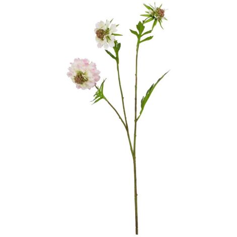 The Natural Garden Collection Scabious - Artificial Flower (Single Stem) - Plastic - L17 x W21 x H65 cm - Pale Pink