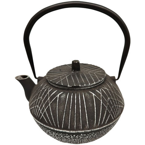 Théière de type japonaise noire en fonte 1 litre