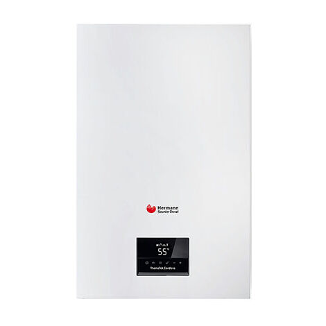Thematek 24 kW Brennwertkessel – Erdgas