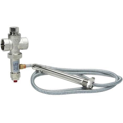 Thermische Ablaufsicherung STS20 von WATTS - 2 x 3/4'' IG - max. 10 bar - Einstellung 97°C - 0232120