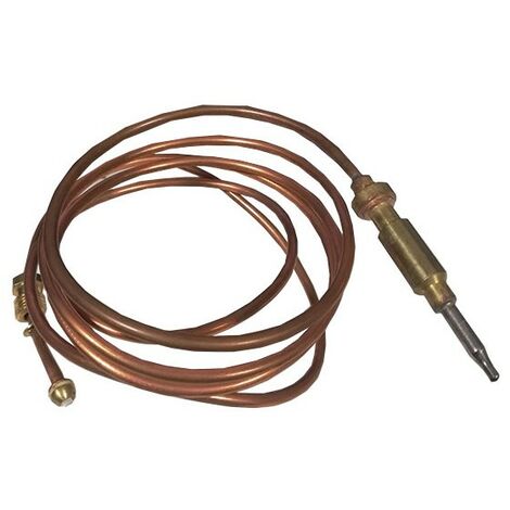 Thermocouple 700398886 four
