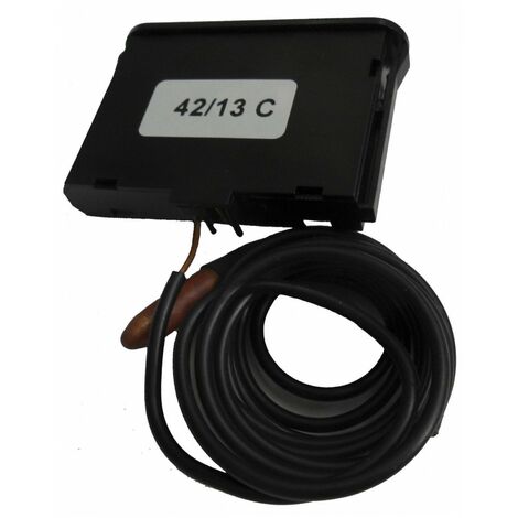 Thermometre             000193