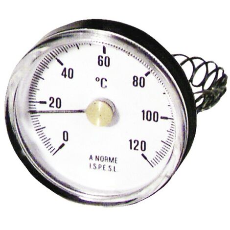 Thermomètre digital int./ext. - Sonde NTC embout inox - Maxi/Mini