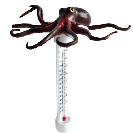 Thermomètre de piscine flottant facile à lire - Avec grand écran - Design