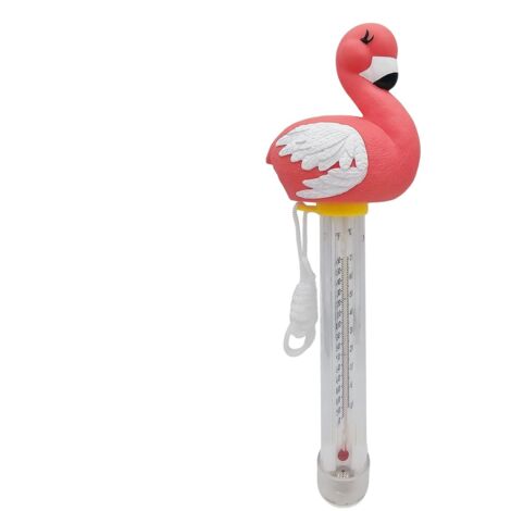 Thermomètre flottant - Thermomètre de bain flottant étanche – Affichage