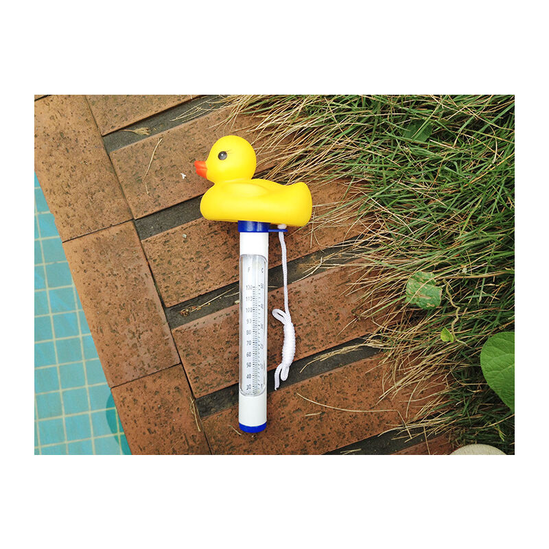 Thermomètre de piscine flottant, thermomètre de température de l'eau avec cordon et petit déjeuner Spa Aquarium Jacuzzi Bassin à poissons (petit