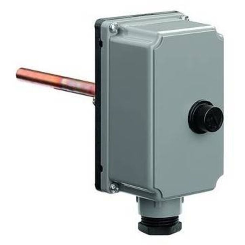 Thermoplongeur 100°