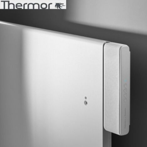 Thermor – Enceinte multiroom haute définition Cabasse – Son stéréo, connexion USB, intégration discrète – Garantie 2 ans
