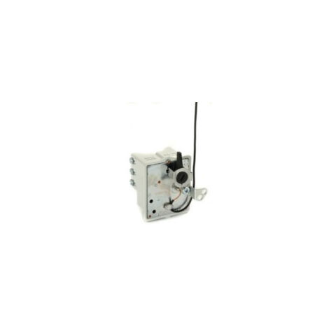 Thermostat à Régulation Version Mono Bulbe Type Bsd, L De Canne: 370mm. ( Origine : D2000401 )