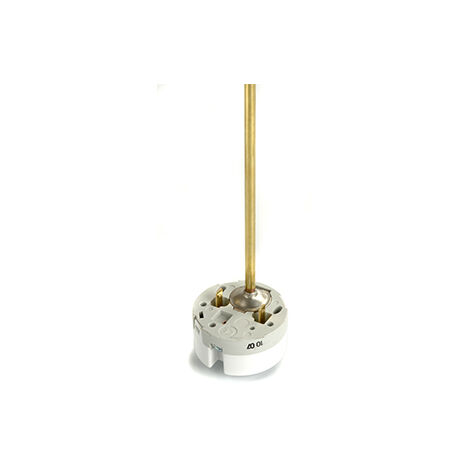 Thermostat à Sonde Embrochable Type Tse, L De Canne: 270mm.